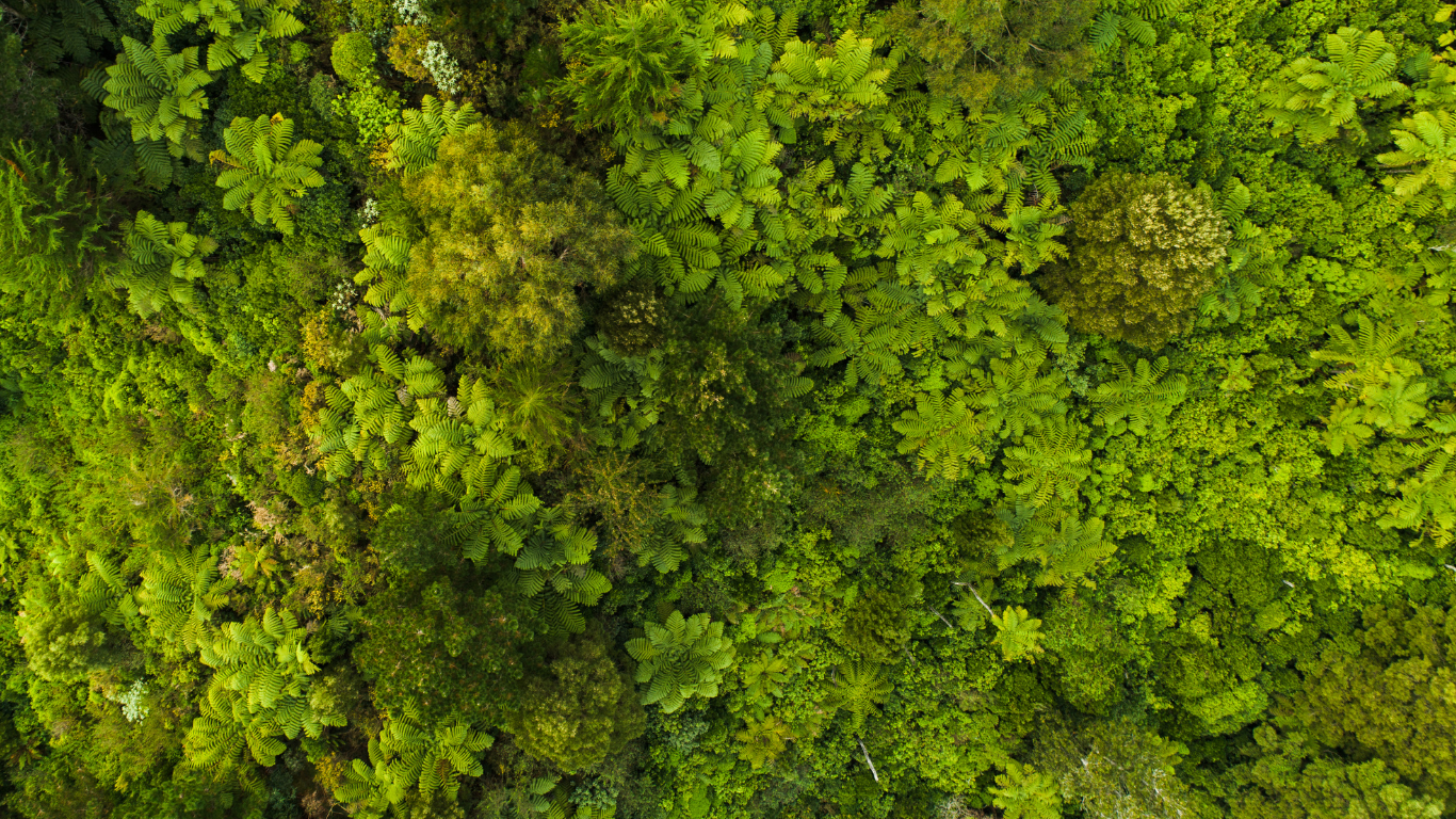 Sustainability